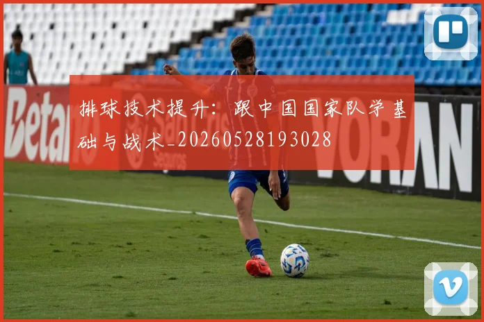 排球技术提升：跟中国国家队学基础与战术_20260528193028