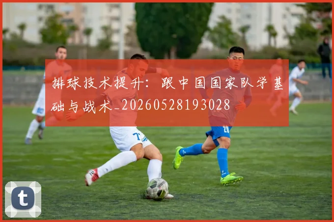 排球技术提升：跟中国国家队学基础与战术_20260528193028